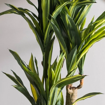 Artificial Dracaena Tree With Pot Yellow 52in - Vickerman - Image 3