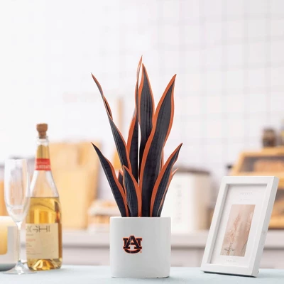 Forever Leaf Auburn Faux Snake Plant, Indoor Artificial Plant For Home Decor - Image 4