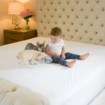 SafeRest Waterproof Mattress Protector - Premium Mattress Cover With Soft Cotton Terry Surface - Noiseless Protection - Image 2