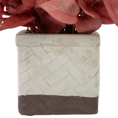 Northlight Real Touch™ Brick Red Artificial Peperomia Plant In Square Lattice Designed Pot - 7 " - Image 4