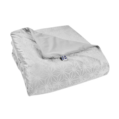 48"x72" Clean Comfort 20lbs Weighted Blanket With Removable Cover Gray - Sealy - Image 5