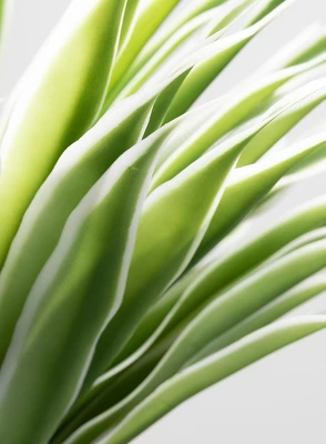 Sullivans Artificial Potted Varigated Agave 26"H Green - Image 2