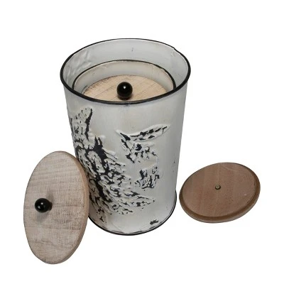 Set Of 3 Cream And Gray Floral Metal Decorative Storage Canisters - Foreside Home & Garden - Image 6