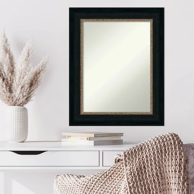 25" X 31" Non-Beveled Paragon Bronze Wall Mirror - Amanti Art - Image 5