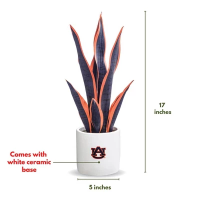 Forever Leaf Auburn Faux Snake Plant, Indoor Artificial Plant For Home Decor - Image 6