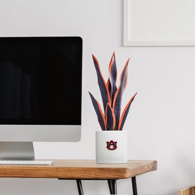 Forever Leaf Auburn Faux Snake Plant, Indoor Artificial Plant For Home Decor - Image 2