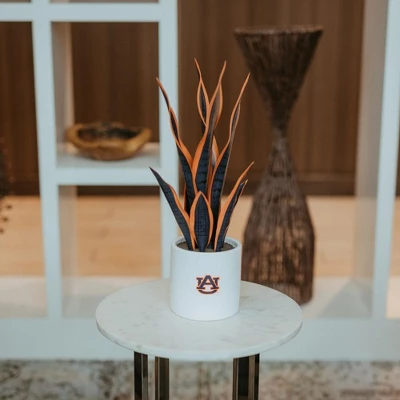 Forever Leaf Auburn Faux Snake Plant, Indoor Artificial Plant For Home Decor - Image 5