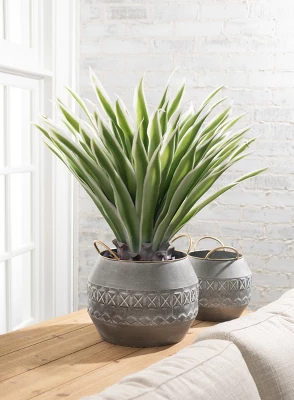 Sullivans Artificial Potted Varigated Agave 26"H Green - Image 3