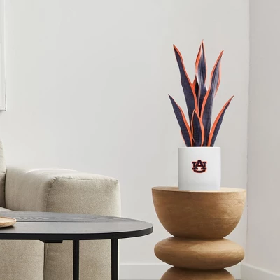 Forever Leaf Auburn Faux Snake Plant, Indoor Artificial Plant For Home Decor - Image 3