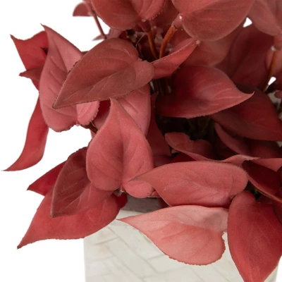 Northlight Real Touch™ Brick Red Artificial Peperomia Plant In Square Lattice Designed Pot - 7 " - Image 3