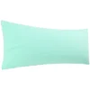 1 Pc Body 1800 Series Soft Brushed Microfiber Pillowcase Spa Blue - PiccoCasa